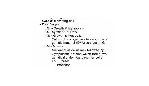 Worksheet 39 Mitosis Sequencing Answers - Promotiontablecovers