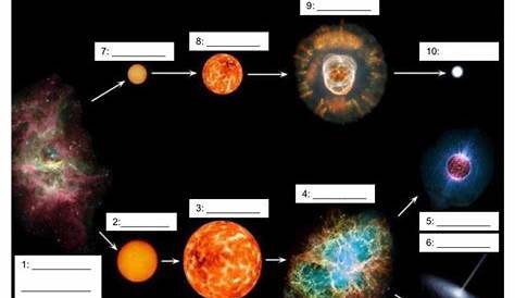 star life cycle worksheets