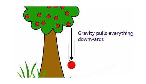 Gravitational Force Worksheet For Grade 6