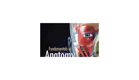 Fundamentals of Anatomy and Physiology 4th edition | 9781285174303