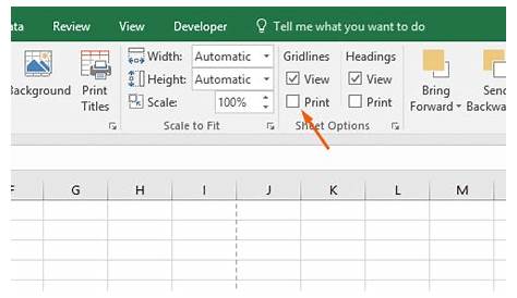 How to Print Gridlines in Excel + how to Add and Edit them