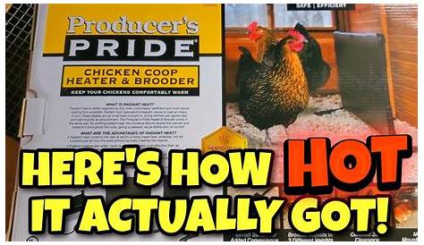 producers pride chicken coop heater & brooder