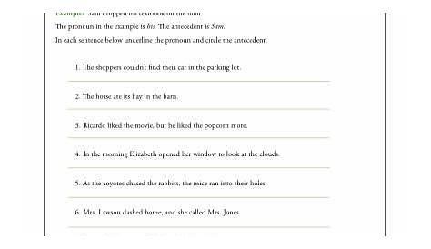 Pronouns and Antecedents | Pronoun Agreement Worksheet