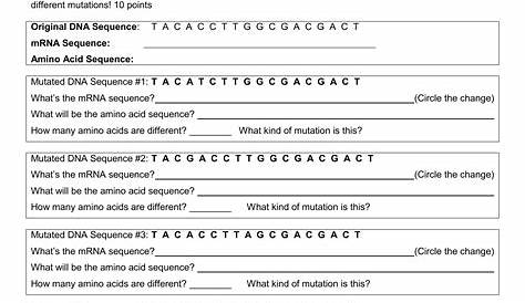 36 Mutations Worksheet Answer Key - support worksheet