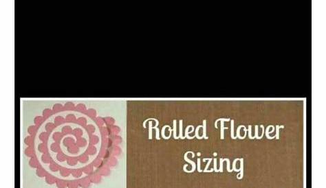 rolled flower sizing | Flower shadow box, Craft time, Crafts