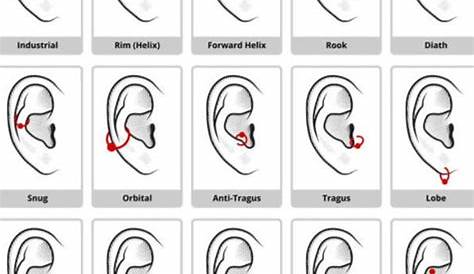ear piercing chart for women