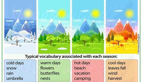 Seasons Vocabulary in English #fallseason ﻿ The seasons in English