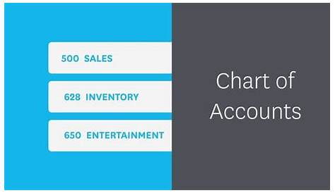 The Chart of Accounts | Chart of accounts, Payroll, Accounting