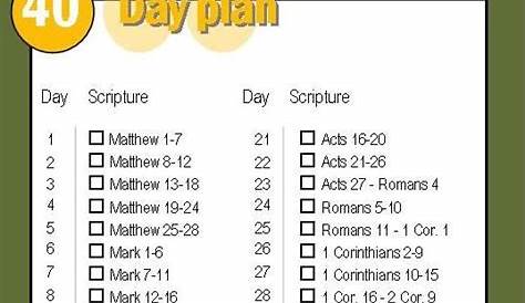 81 best Bible -- reading plans images on Pinterest | Bible reading