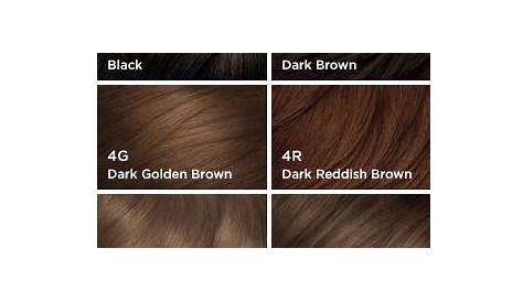 Clairol Nice N Easy Color Chart Browns
