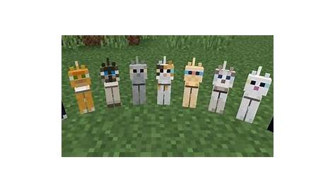 what does cats eat in minecraft