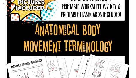 movement of the body worksheet