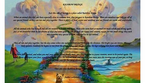 rainbow bridge pet poem printable google search - original rainbow