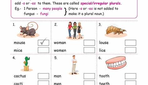 english worksheets grade 1 chapter nouns key2practice workbooks - nouns