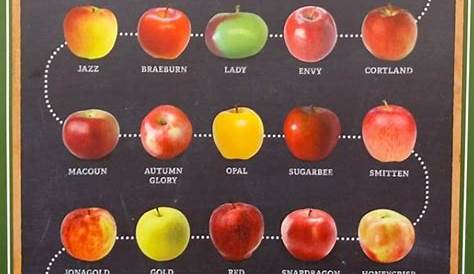 Apple sweetness reference guide | Organic recipes, Honeycrisp, Apple chart