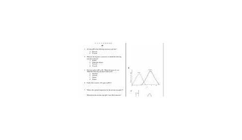 Enzyme Graphing Worksheet.docx - EnzymeGraphingWorksheet Theme