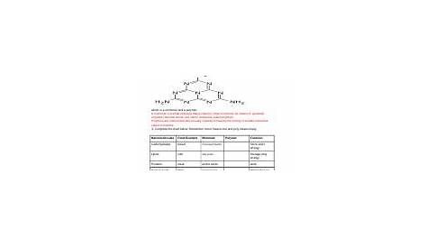 monomer polymer worksheet answer key