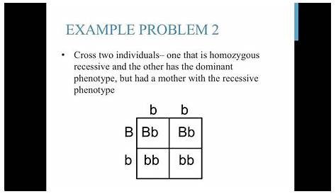 Punnett square practice problems (simple) - YouTube