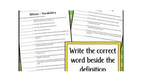 mitosis vocabulary worksheet