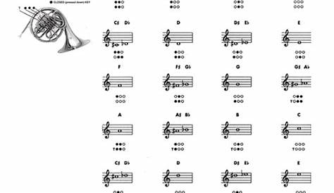 french horn low notes