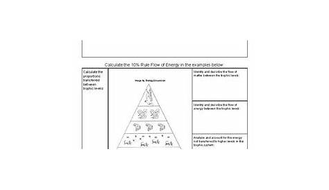 Trophic Level Energy Pyramid by JMESCIENCE | Teachers Pay Teachers