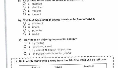 science worksheets for third graders