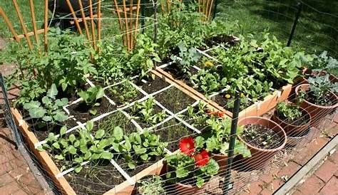 square foot gardening vegetable spacing