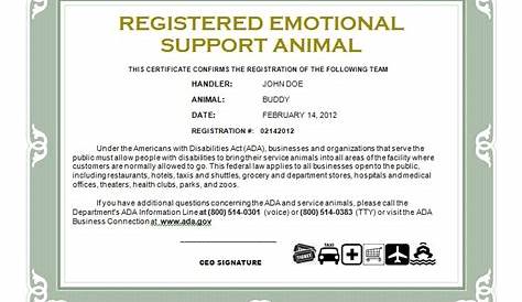Emotional Support Dog Certificate Template | williamson-ga.us