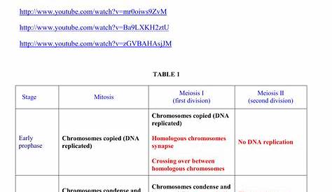 Biology Comparing Mitosis And Meiosis Worksheet Answers | TUTORE.ORG