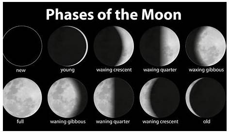 Do Moon Phases Affect Surf Fishing? – Surfcasting Republic