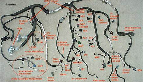How to remove engine harness - LS1TECH - Camaro and Firebird Forum