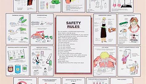 Chart, Laboratory Safety | Flinn Scientific
