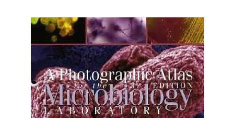 Sell, Buy or Rent A Photographic Atlas for the Microbiology Laborato