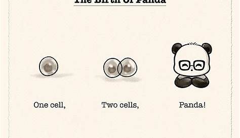 happy asian panda chart