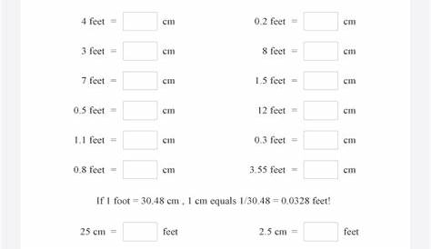 Convert feet in centimeters math worksheet. Convert the metric units in