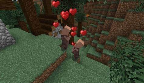 what do villagers eat in minecraft