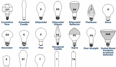 Halogen Work Light Bulb Sizes • Bulbs Ideas