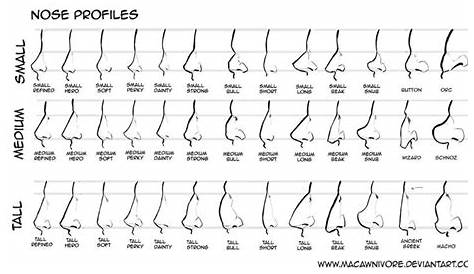 female chart nose types