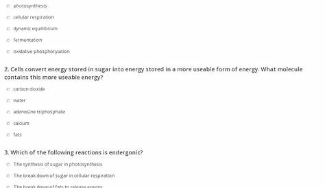 worksheet. Energy Transformation Worksheet Answers. Grass Fedjp
