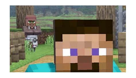 They used the old steve skin : r/GoldenAgeMinecraft