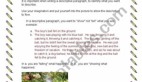 😊 Descriptive paragraph activities. Writing a Descriptive Paragraph (Gr