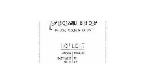 houseplant light requirements chart