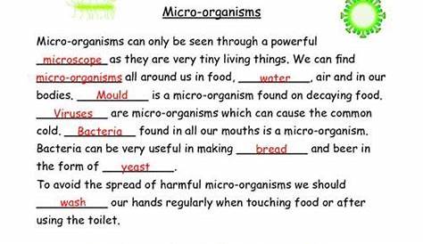 micro organisms worksheet