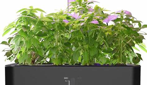 idoo hydroponics growing system manual pdf