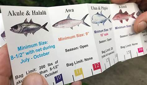 hawaii fishing seasons chart