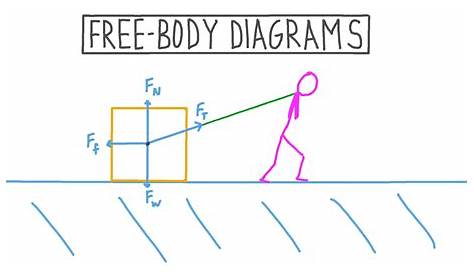 Free Body Diagram Worksheet Answers