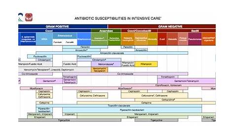 gram-negative antibiotics chart