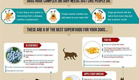 10+ Best Dog Food & Nutrition Infographics Ever Made — Breeding