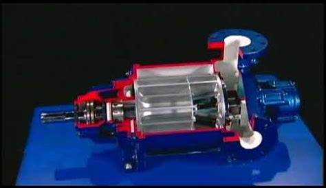 Gardner Denver Nash XL Vacuum Pump - How it Works - YouTube