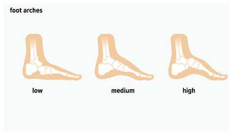 Types of Feet: Can Foot Shape Determine Your Ancestry or Personality